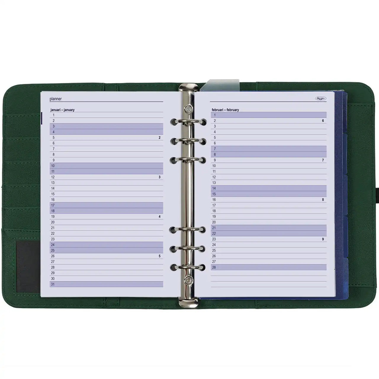 1011-19 A5 Ringagenda Organizer Grün