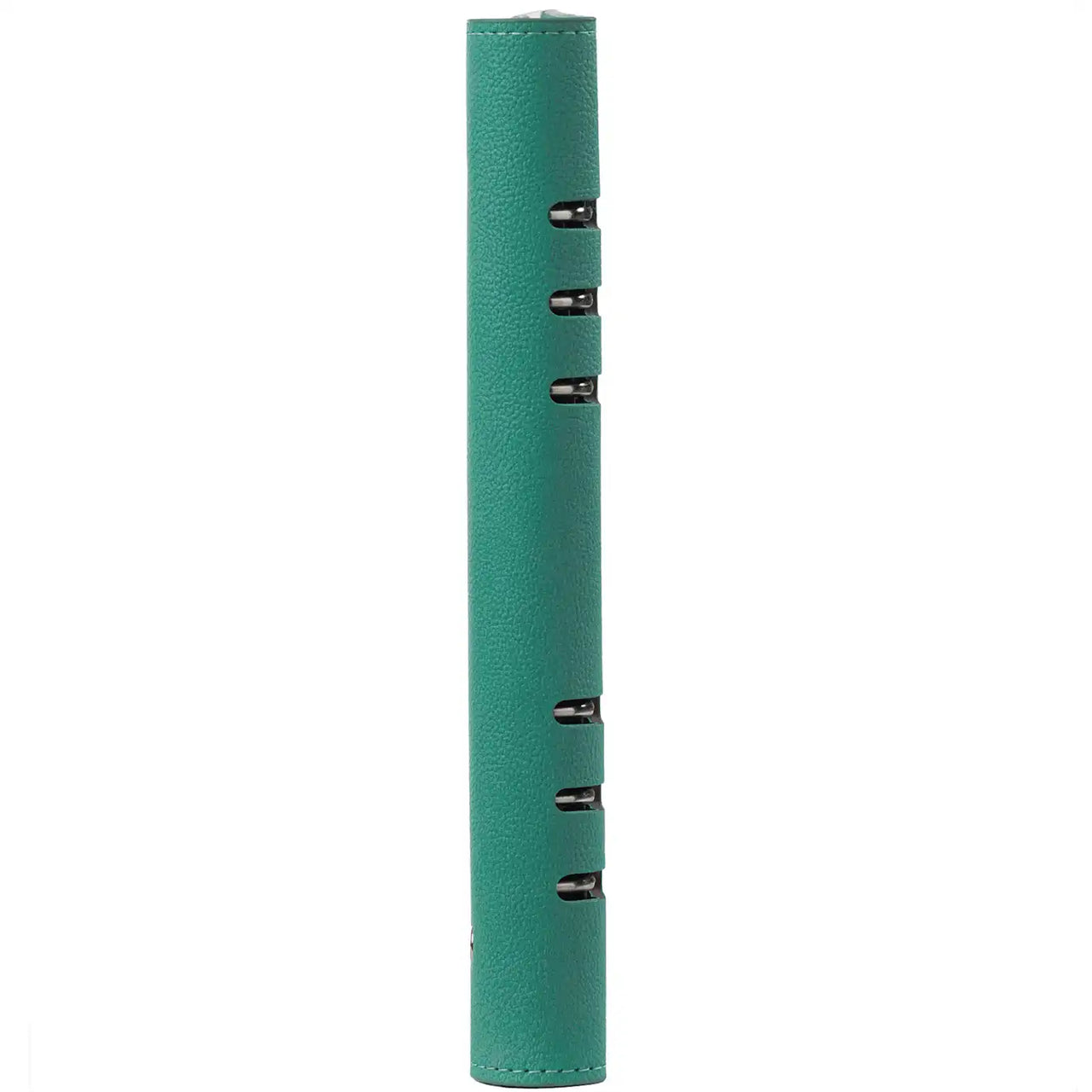 1016-18 A5 6 Ringplaner Agenda Mint Grün