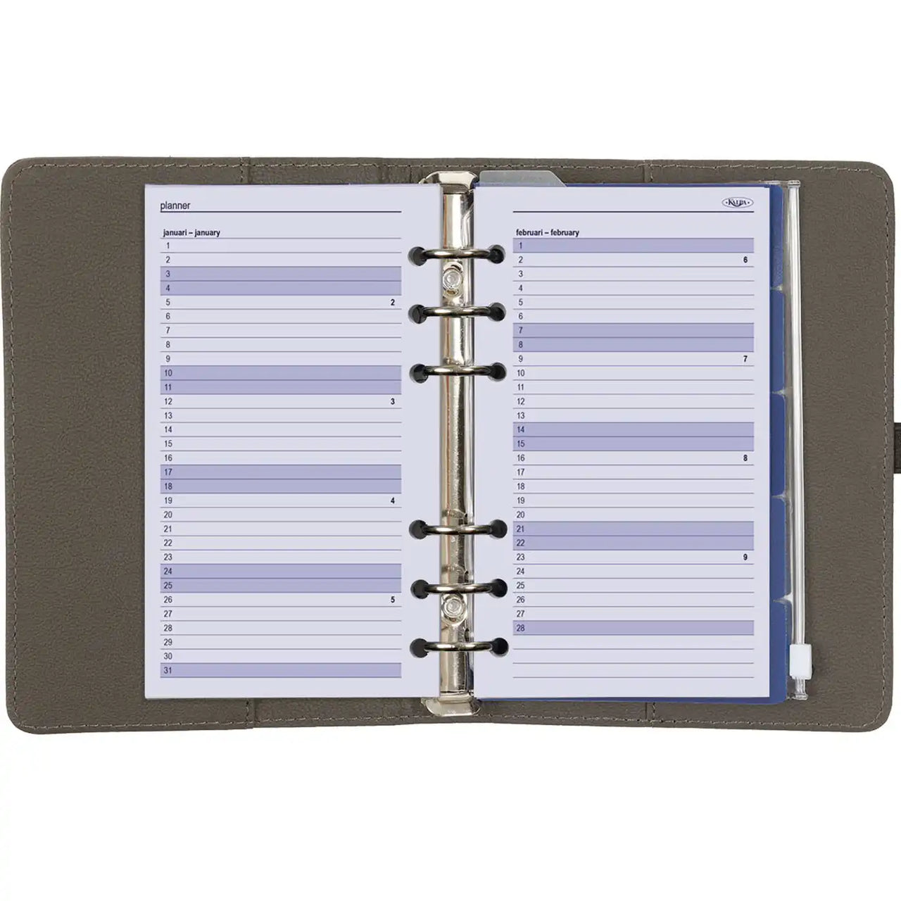 1111-17 Personal Ring Agenda Grey