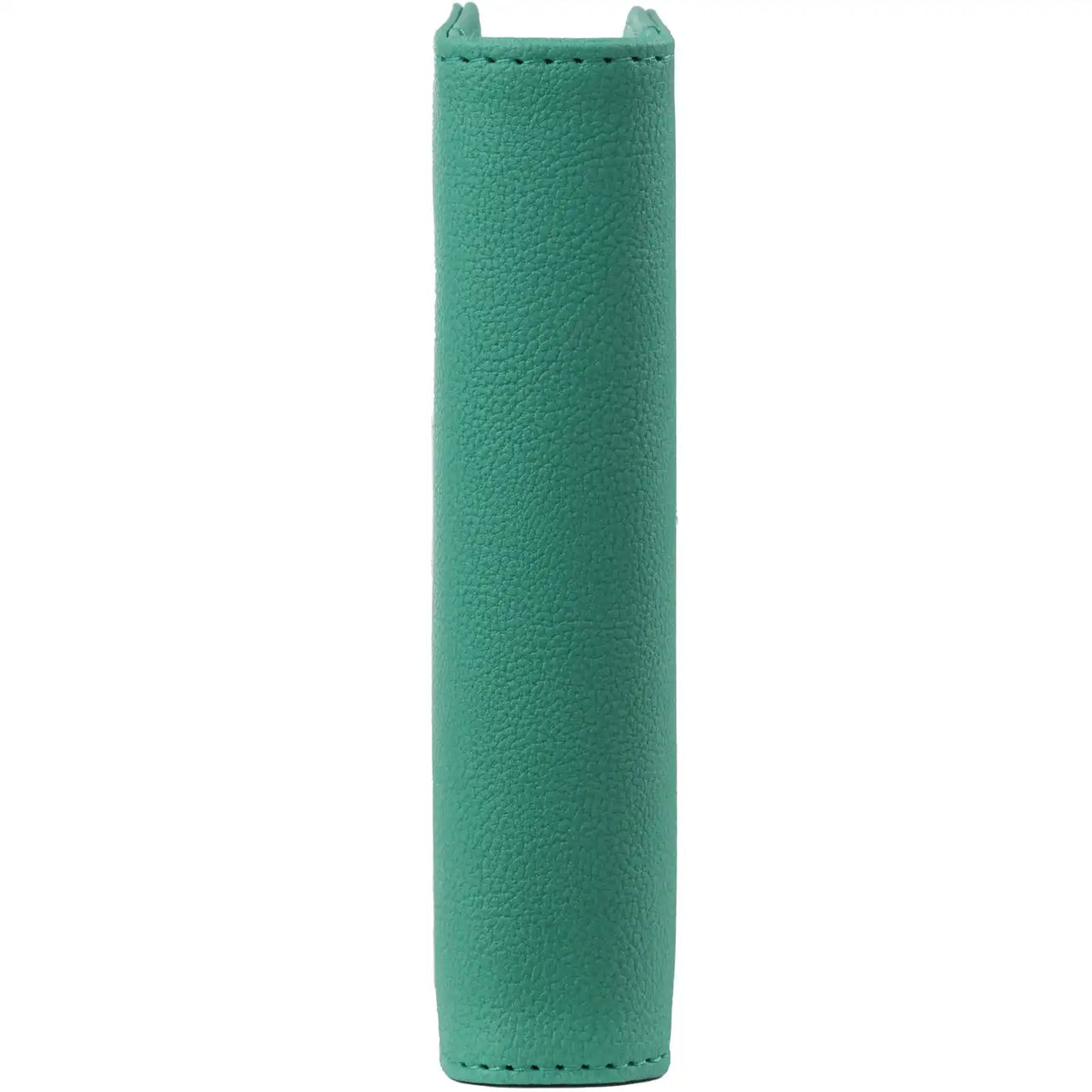 1311-18 Ring Agenda Planner Mint Green