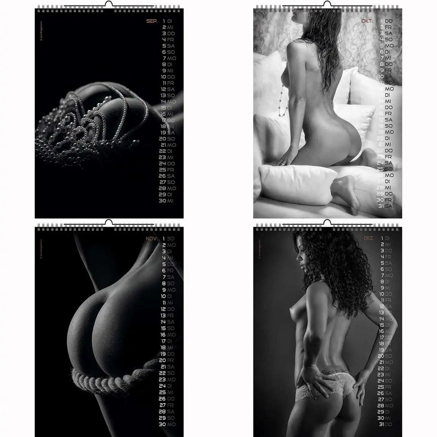 Erotic A3 Calendar Backside 2026 and A3+ CutePinups 2026 2027 + free 2025 Calendar