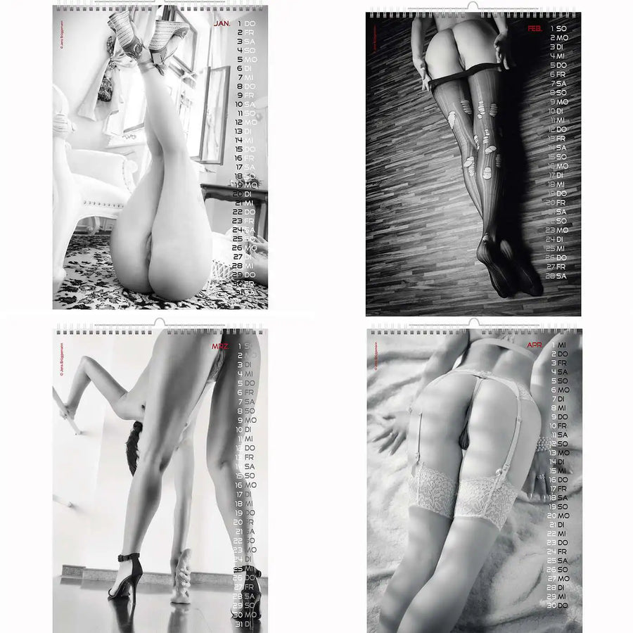 Erotische A3 -kalenders slechte achterkant 2026 + CUTEPINUPS 2026 2027 + Gratis 2025 kalender
