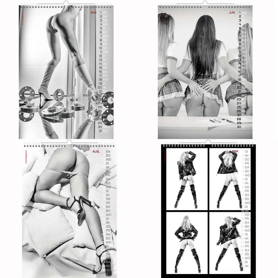 Erotische A3 -kalenders slechte achterkant 2026 + CUTEPINUPS 2026 2027 + Gratis 2025 kalender