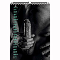 2 A4 Male + Female Erotic calendars Nice Guys plus Note my Babe 2026 + free 2025 Calendar