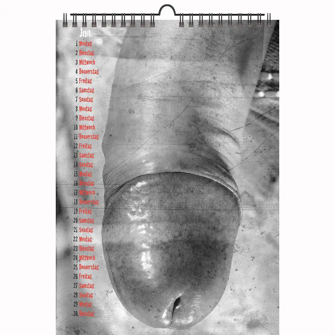 2 A4 Male + Female Erotic calendars Nice Guys plus Note my Babe 2026 + free 2025 Calendar
