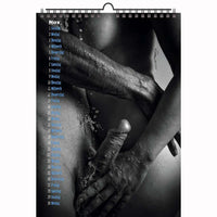 2 A4 Male + Female Erotic calendars Nice Guys plus Note my Babe 2026 + free 2025 Calendar