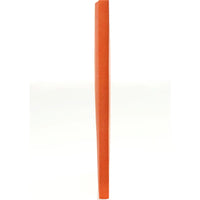 BNPR464-10 10 New Praga A4 Notizbuch Orange
