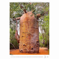 Trees Calendar A3+ size 2026+