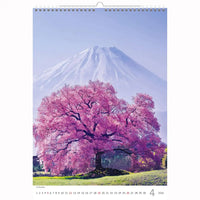 Trees Calendar A3+ size 2026+