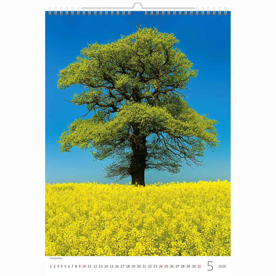 Trees Calendar A3+ size 2026+
