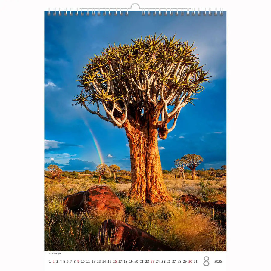 Trees Calendar A3+ size 2026+