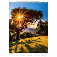 Trees Calendar A3+ size 2026+
