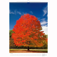 Trees Calendar A3+ size 2026+