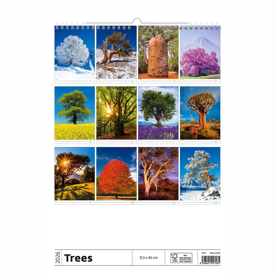 Trees Calendar A3+ size 2026+