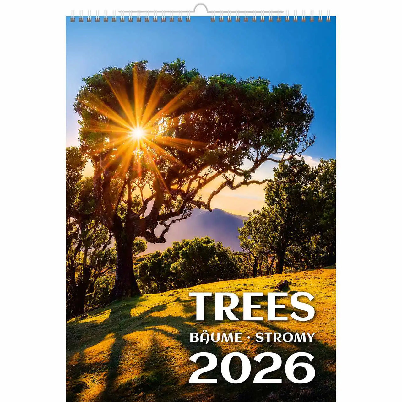 Trees Calendar A3+ size 2026+