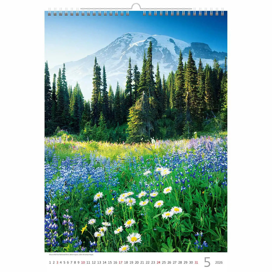 Mountain Landscape Wall A3+ 2026+