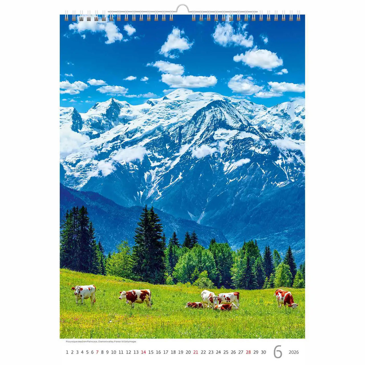 Mountain Landscape Wall A3+ 2026+