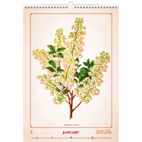 Botanische herbariumkalender A3+ 2026+