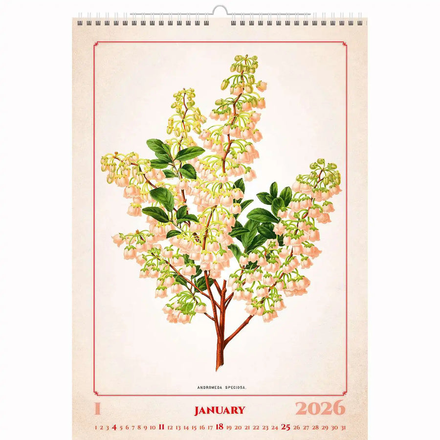 Botanische herbariumkalender A3+ 2026+