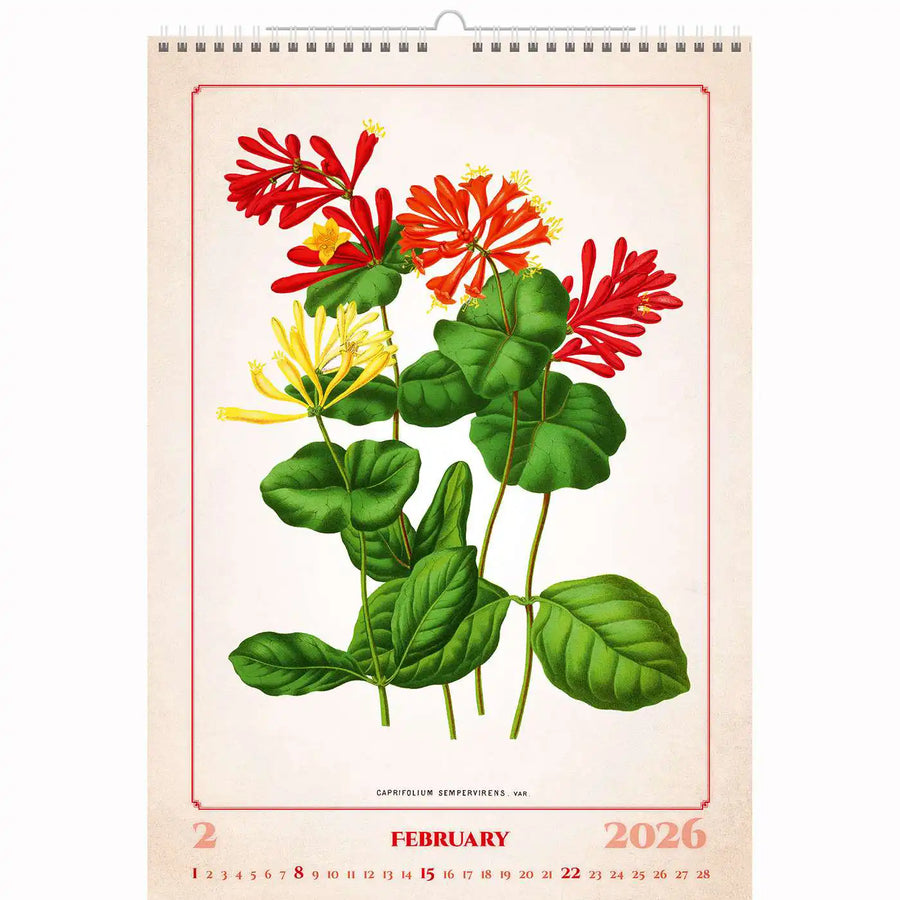 Botanische herbariumkalender A3+ 2026+