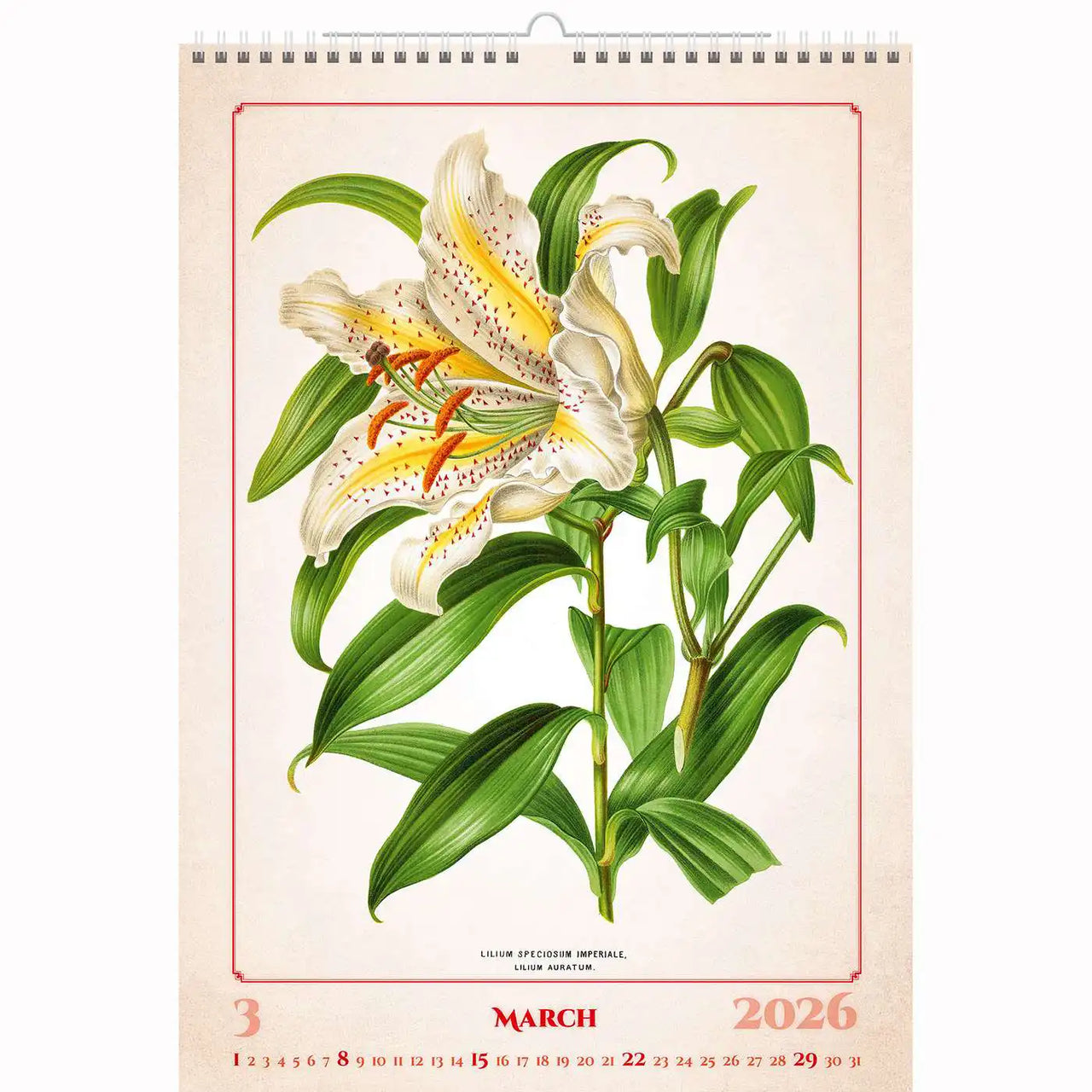 Botanische herbariumkalender A3+ 2026+