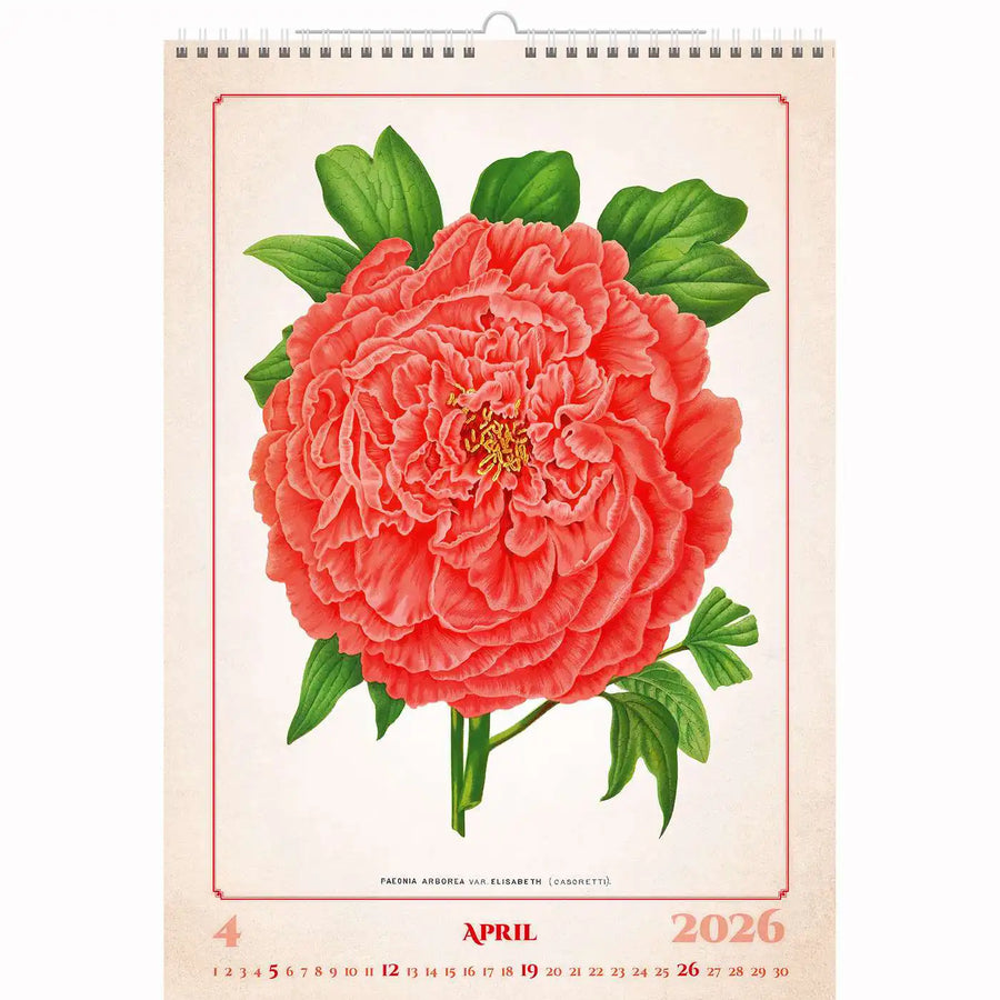Botanische herbariumkalender A3+ 2026+