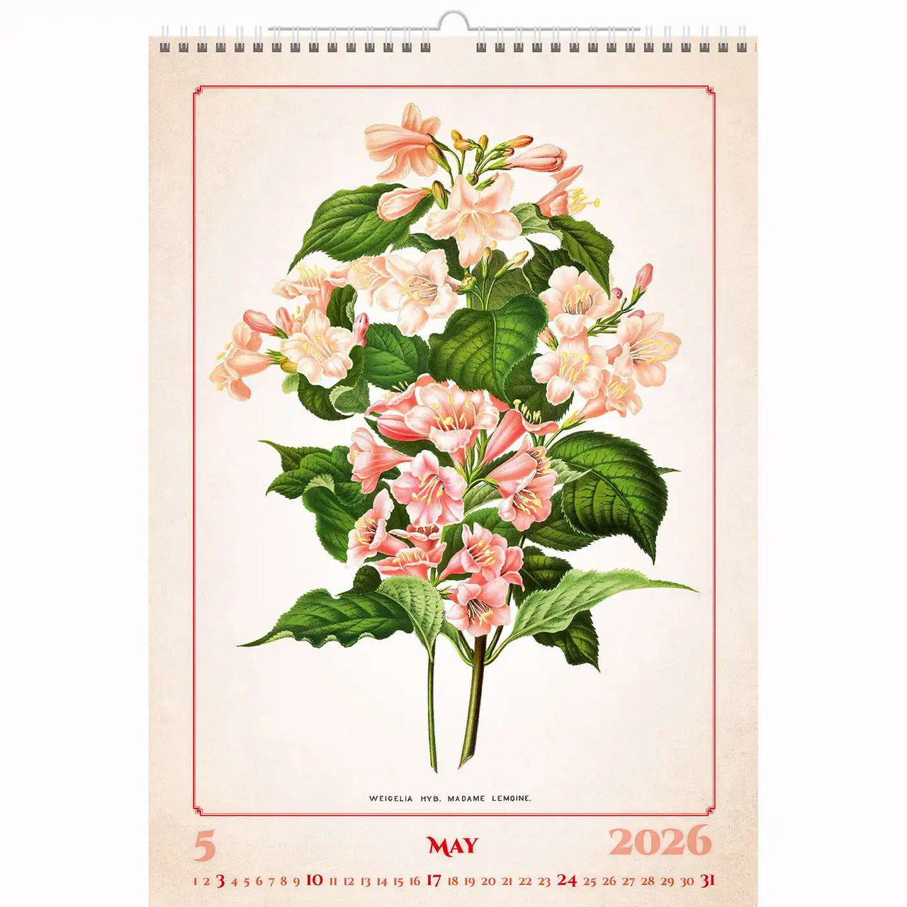 Botanische herbariumkalender A3+ 2026+