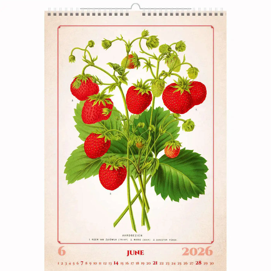 Botanische herbariumkalender A3+ 2026+