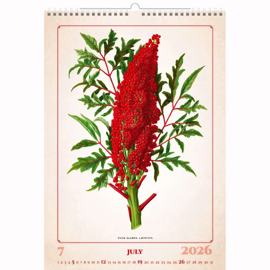 Botanische herbariumkalender A3+ 2026+