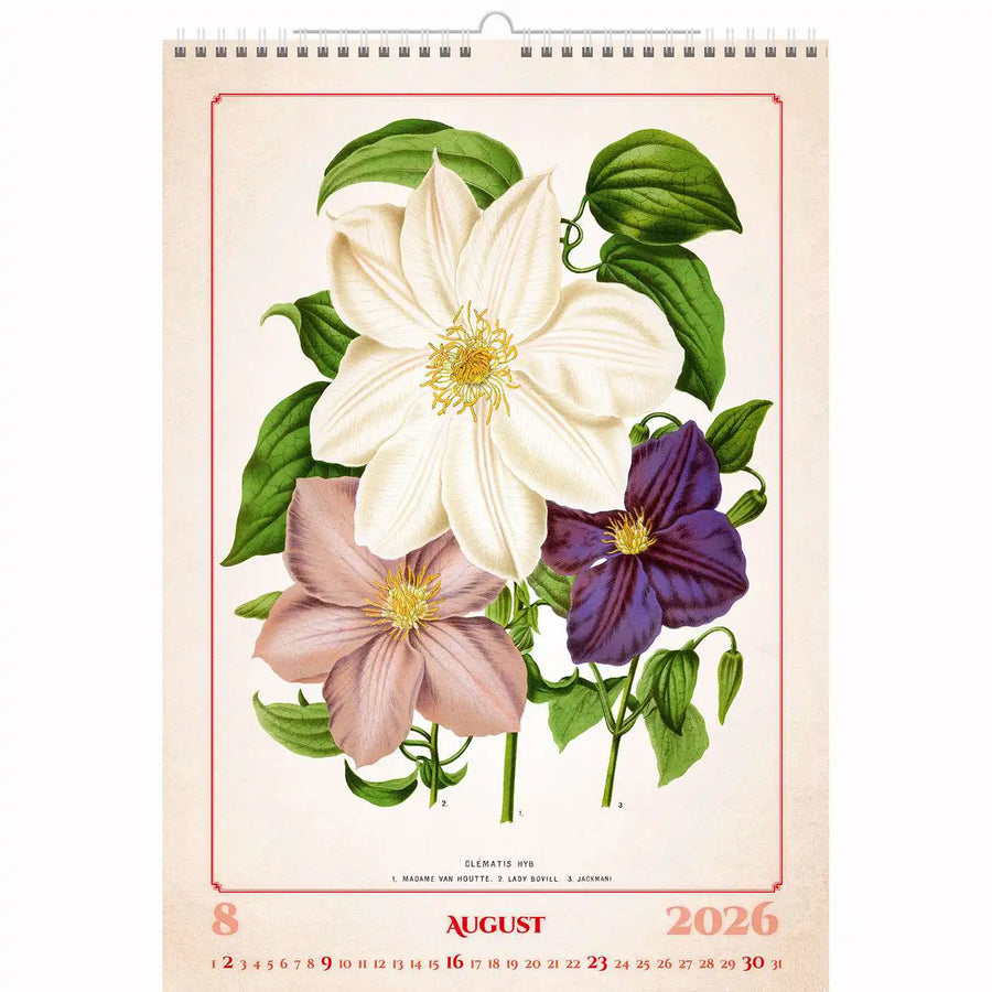 Botanische herbariumkalender A3+ 2026+
