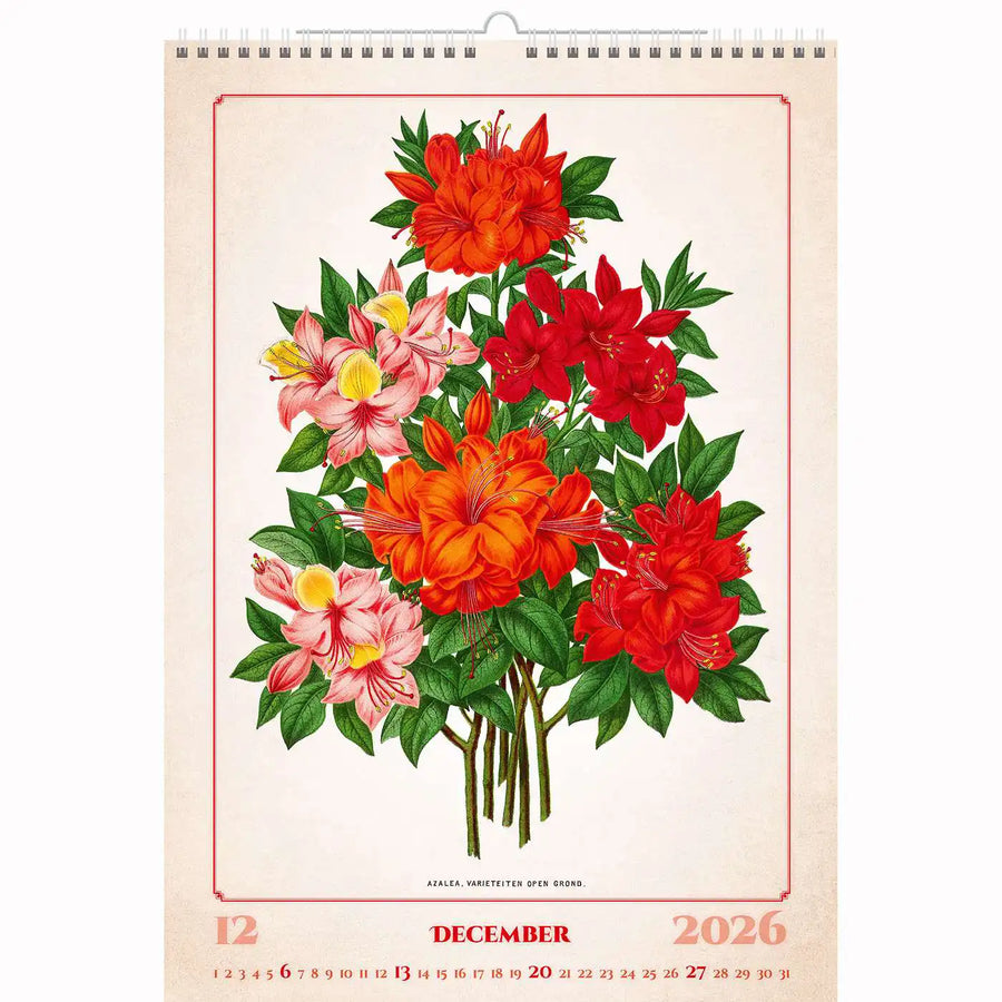 Botanische herbariumkalender A3+ 2026+