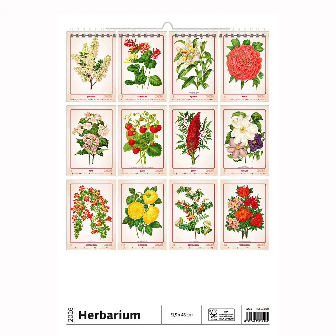 Botanische herbariumkalender A3+ 2026+