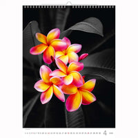 Splash van kleurkalender A3+ 2026+