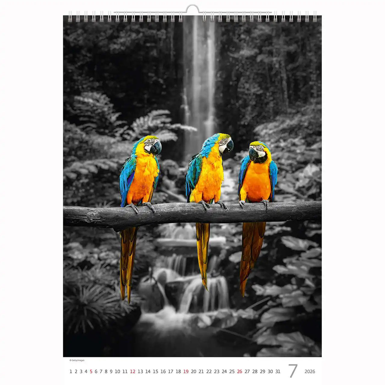 Splash van kleurkalender A3+ 2026+