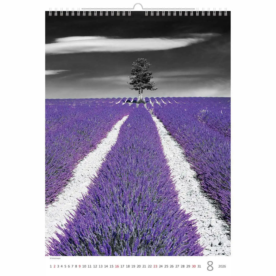 Splash van kleurkalender A3+ 2026+