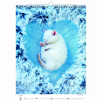 Schattige kittens kalender A3+ 2026+