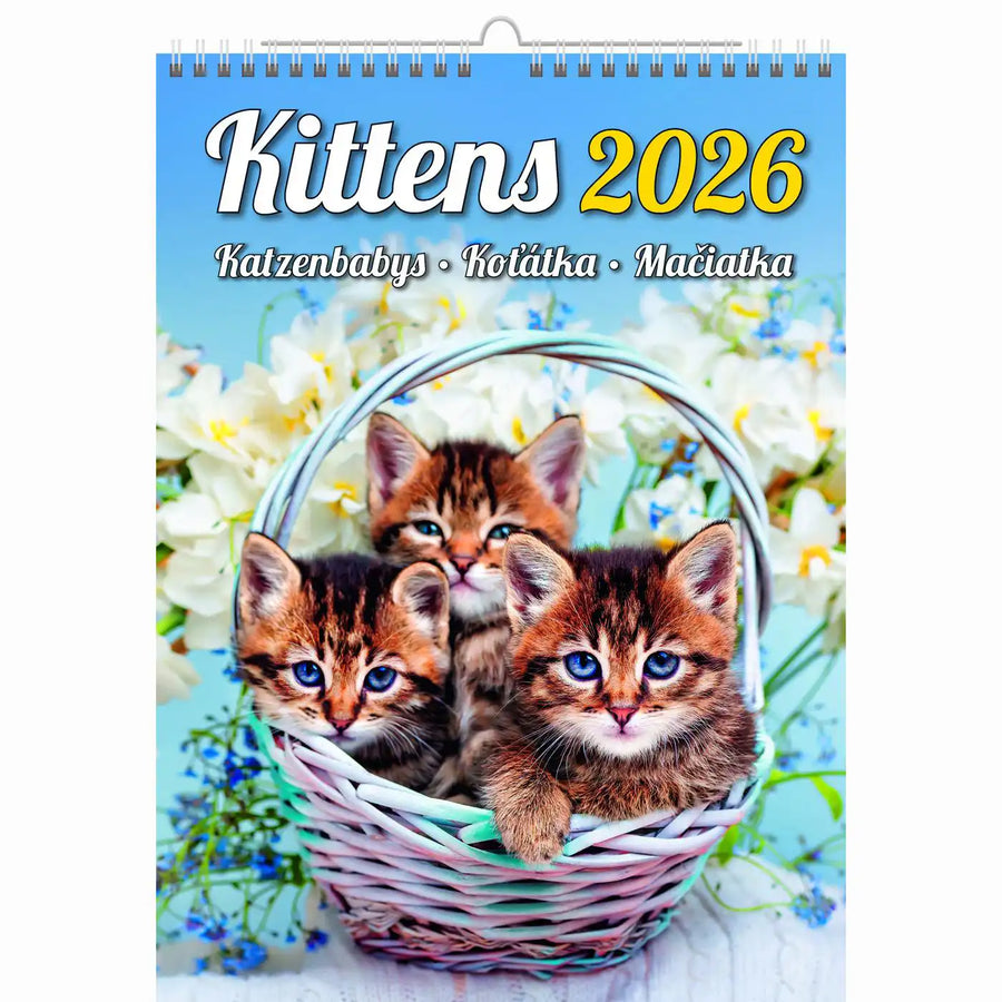 Schattige kittens kalender A3+ 2026+