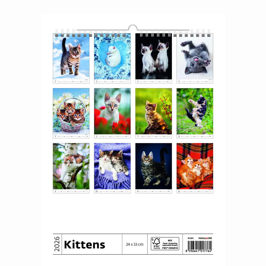 Schattige kittens kalender A3+ 2026+