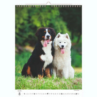 Welpenfotos Kalender A3+ 2026+