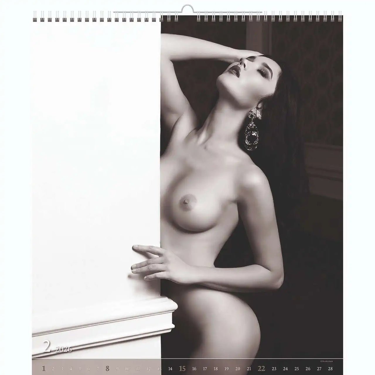 Schwarz -Weiß -Nude XL -Kalender 45 x 52 cm + kostenlose Cutepinups 2026 + 2027 Kalender + kostenloser 2025 Kalender