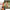 Romantic Sexy Countryside Calendar 49 x 32 cm + free CutePinups 2026-2027 calendar + free 2025 Calendar