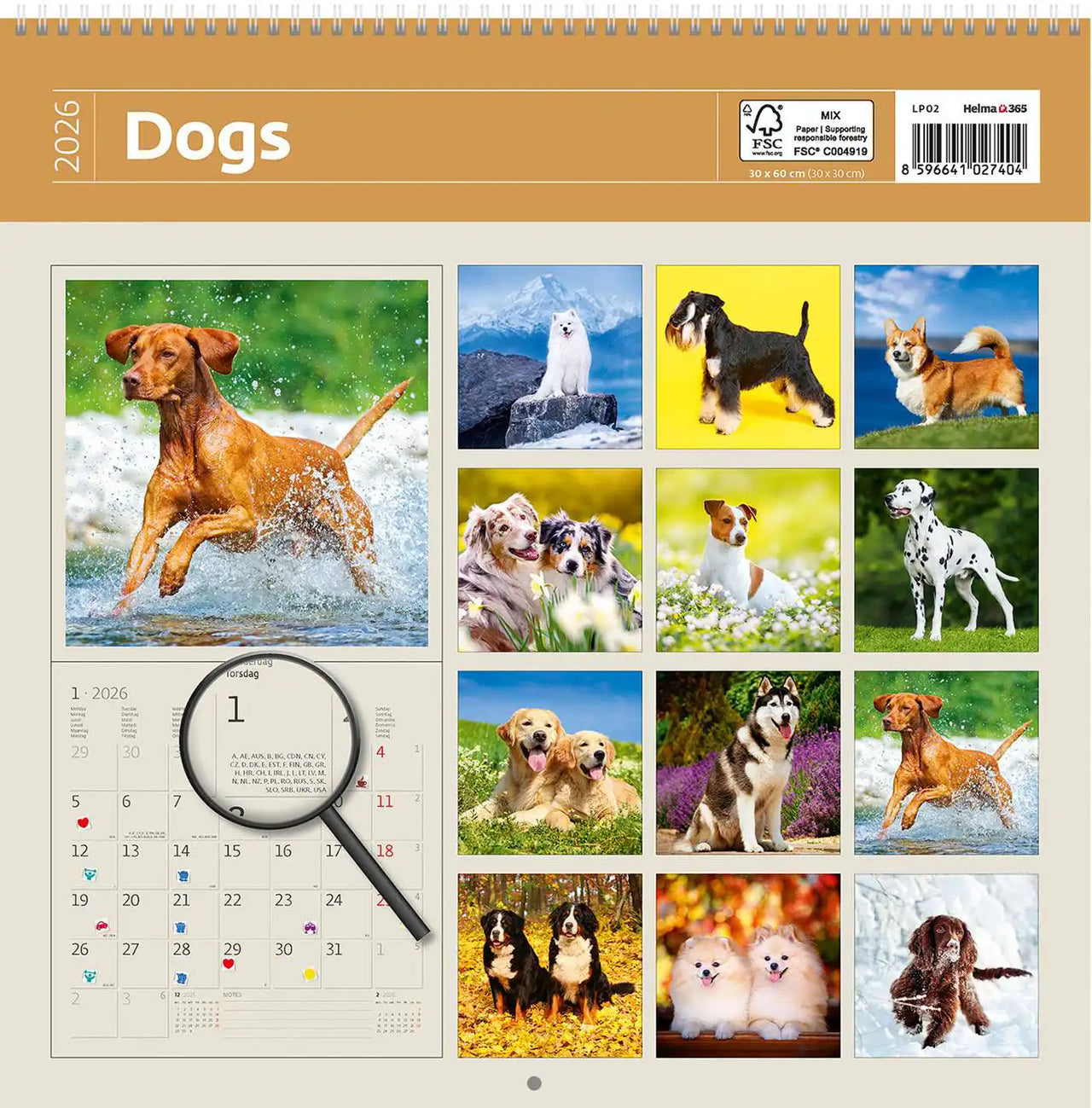 2026 Schreiben von Kalender 30 x 30 Hunde