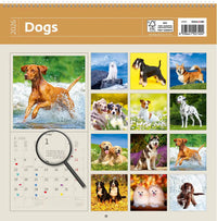 2026 Schreiben von Kalender 30 x 30 Hunde