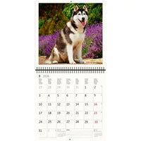 2026 Schreiben von Kalender 30 x 30 Hunde