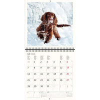 2026 Schreiben von Kalender 30 x 30 Hunde