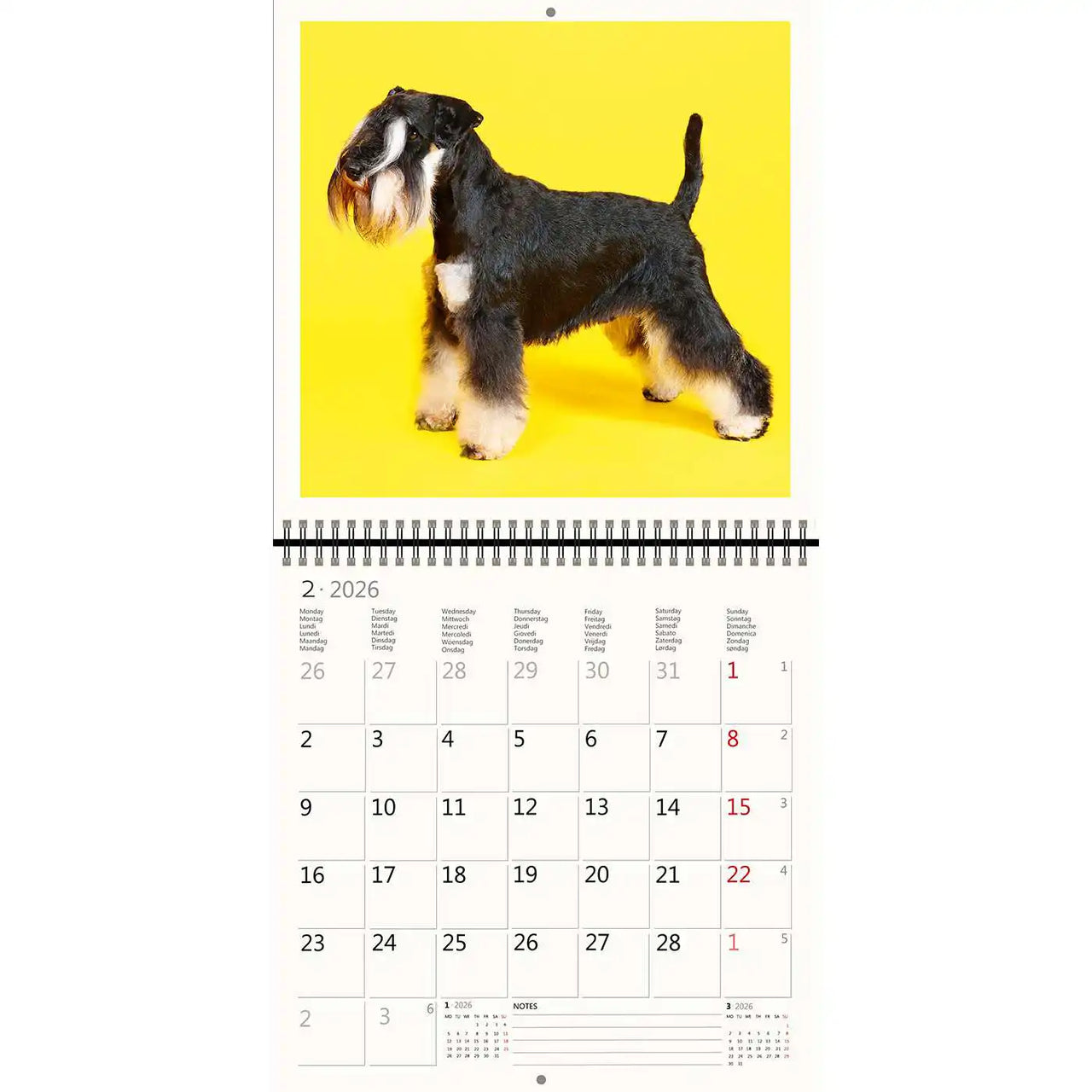 2026 Schreiben von Kalender 30 x 30 Hunde