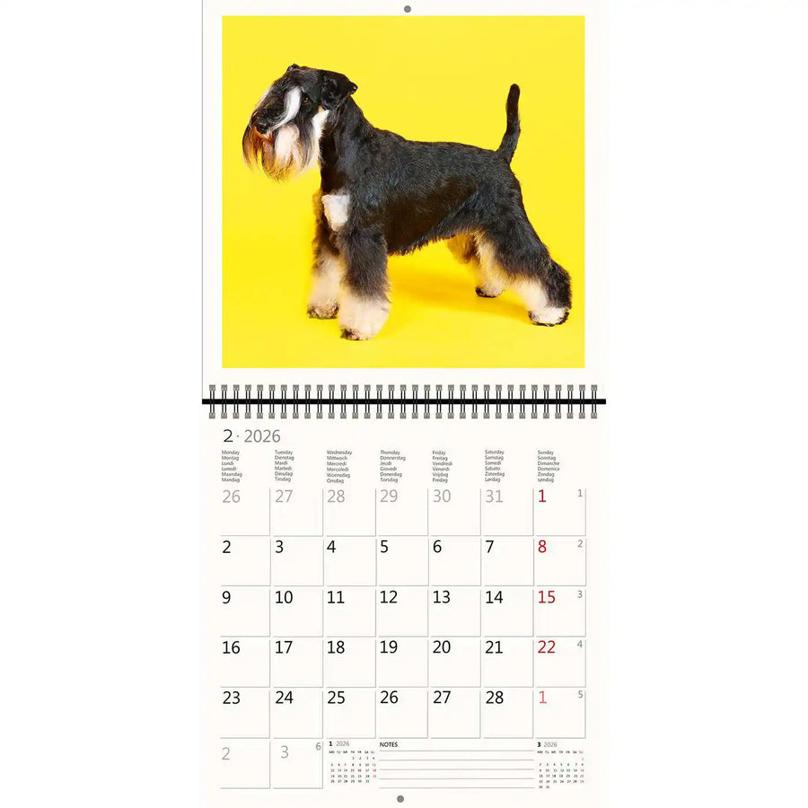 2026 Schreiben von Kalender 30 x 30 Hunde