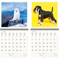 2026 Schreiben von Kalender 30 x 30 Hunde