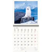 2026 Schreiben von Kalender 30 x 30 Hunde