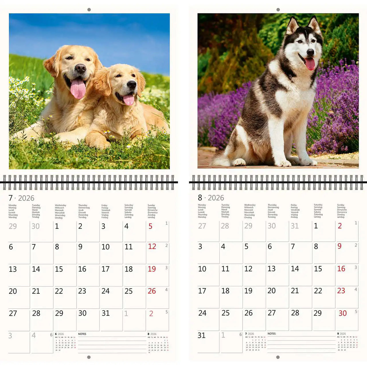 2026 Schreiben von Kalender 30 x 30 Hunde